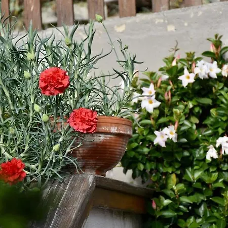 Apartment Haus Vlcek