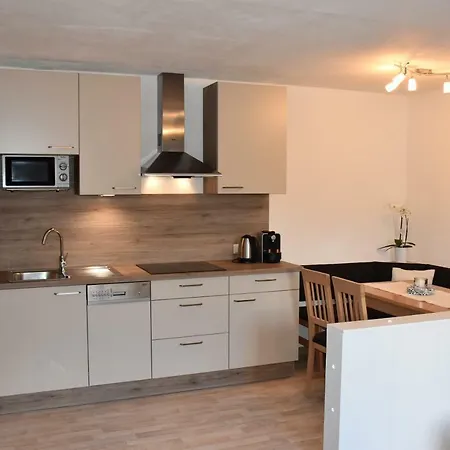 Haus Vlcek Apartment *