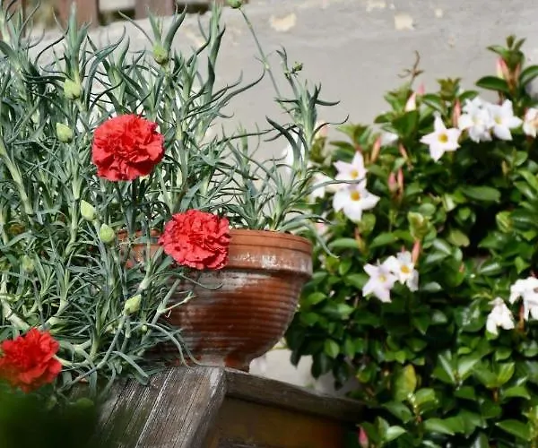 Apartment Haus Vlcek